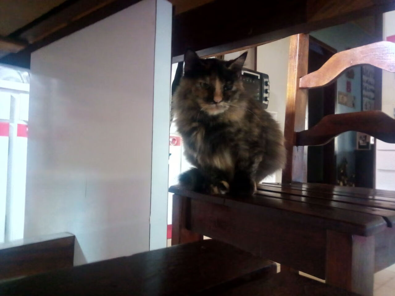 男篮更衣室氛围改善团队凝聚力提升，篮球更衣室是什么意思