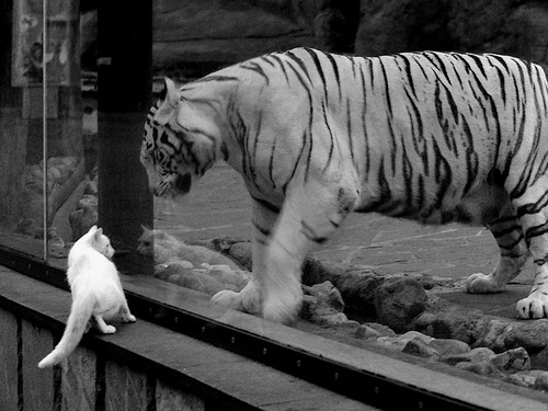 世界杯逆转传奇:英雄出场,奇迹再现!,世界杯回转比赛