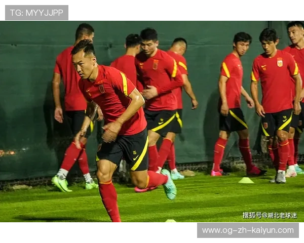 国足在国际比赛中的球员选拔机制分析实施方案实施，国足入选标准