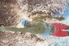 幕后故事揭示拼搏真谛，幕后故事揭示拼搏真谛的句子