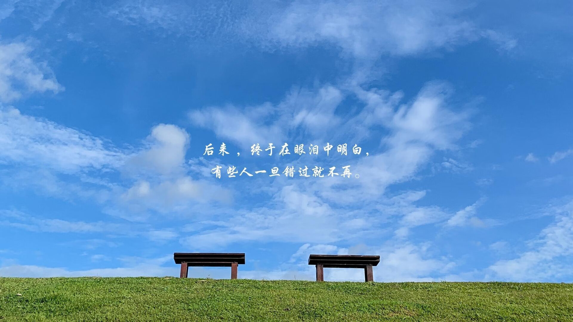 开云网页版登录入口-浙江雄狮强调攻防平衡打造全能型阵容，浙江雄狮电工科技有限公司