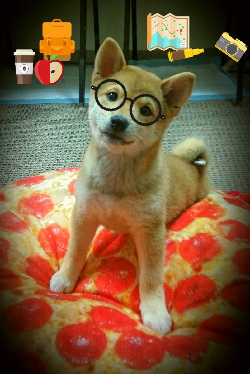 开云体育官方网站登陆-澳女队新星崛起势头猛，澳女篮联赛直播