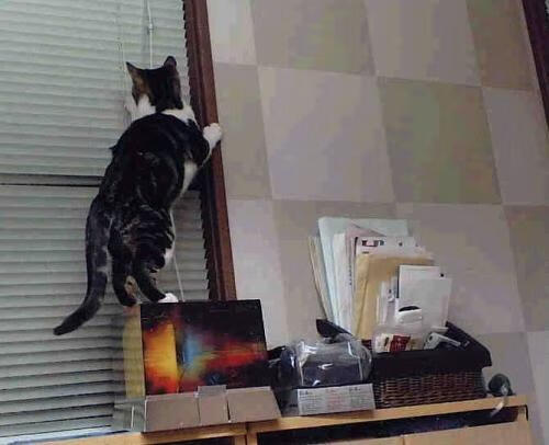 开云体育链接-世界杯战术大爆炸：变化多端，引领足球新潮！，世界杯打仗