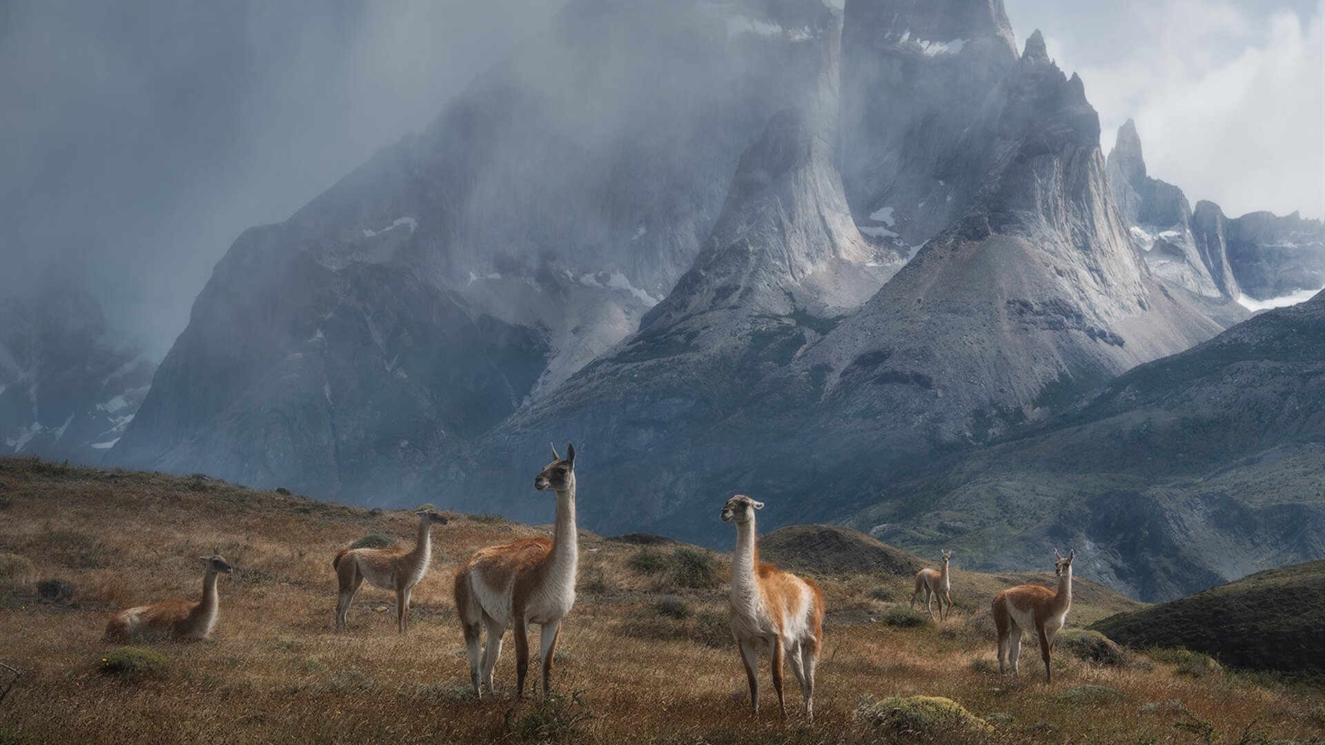 世界杯精彩回顾：每一秒都令人心跳加速！，世界杯精彩瞬间